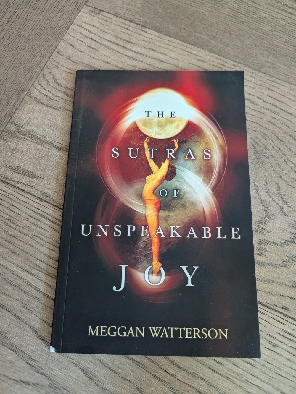 The Sutras Of Unspeakable Joy Paperback